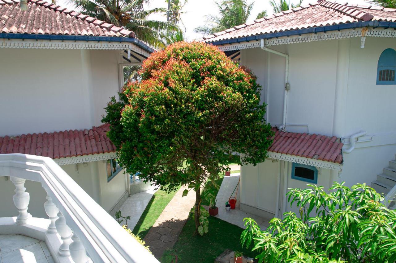 Alma Beach Hotel Weligama Exteriér fotografie